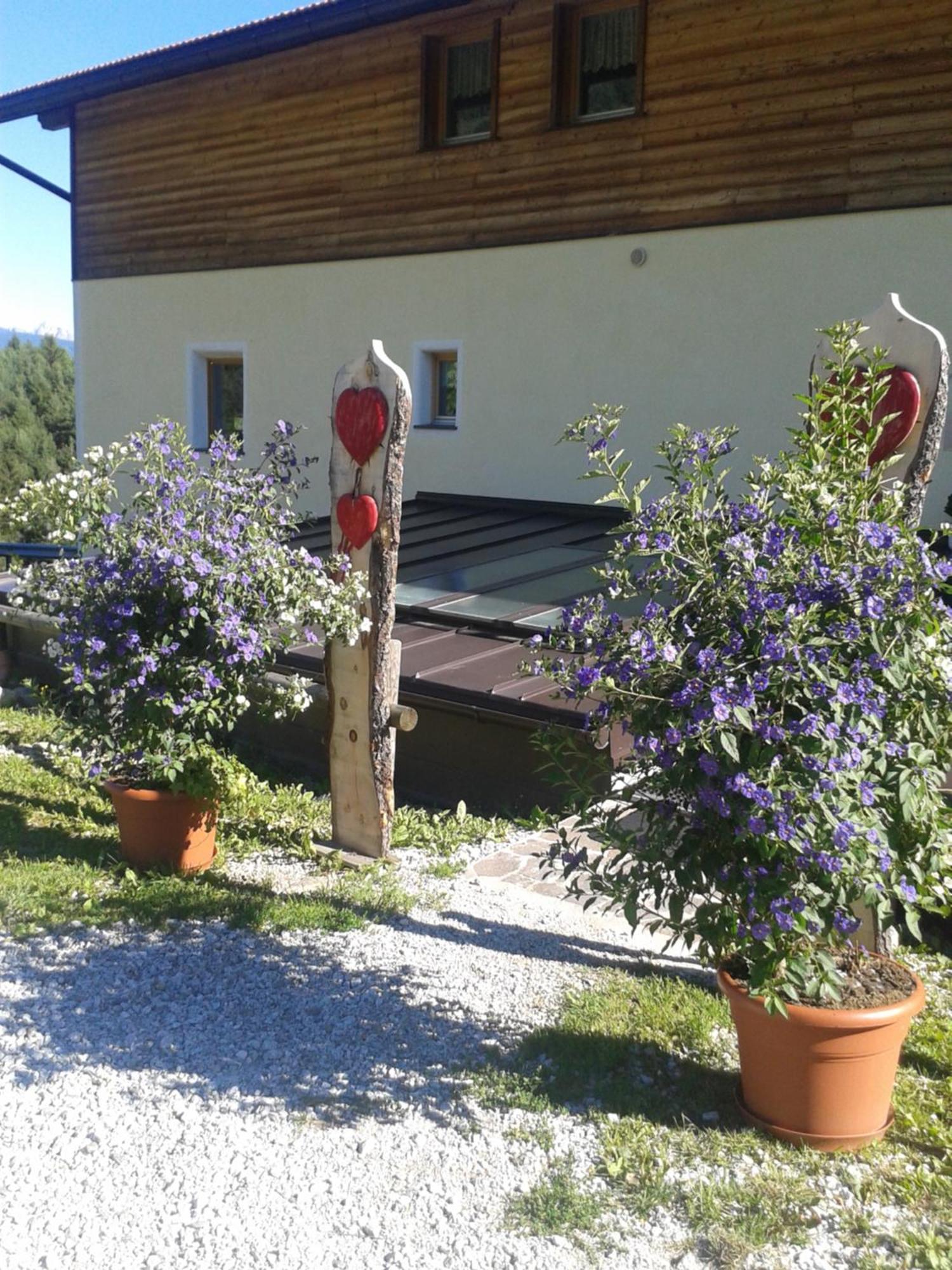 Pension Marchnerhof Теренто Экстерьер фото